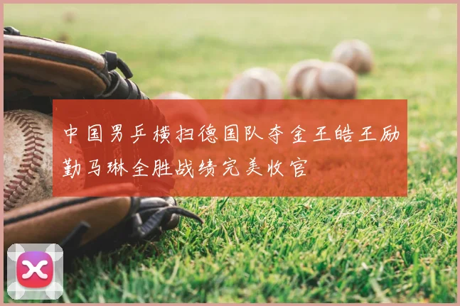 中国男乒横扫德国队夺金王皓王励勤马琳全胜战绩完美收官