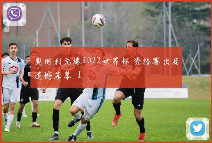 奥地利无缘2022世界杯 资格赛出局遗憾落幕_1