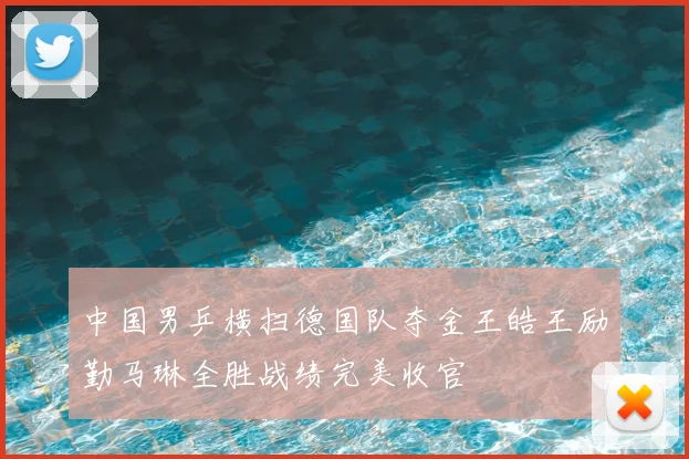 中国男乒横扫德国队夺金王皓王励勤马琳全胜战绩完美收官
